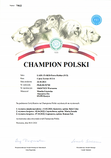 Zrzut ekranu 2024-01-16 o 11.54.26.png