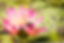 Design ohne Titel_edited.jpg