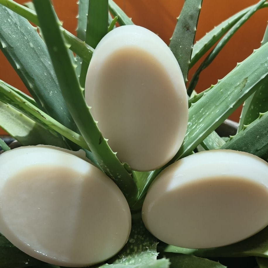 Aloevera Soap / கற்றாழை சோப்பு - 90 grams