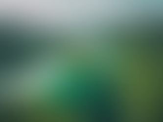 Top Investment Opportunities in The Lake District