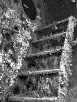 Atlantic Diving (53)