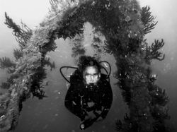 Atlantic Diving (194)