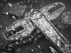 Atlantic Diving (76)