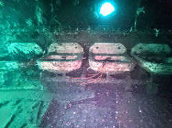 Atlantic Diving (14)