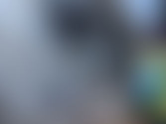 Le lapin - Mini-info : physionomie