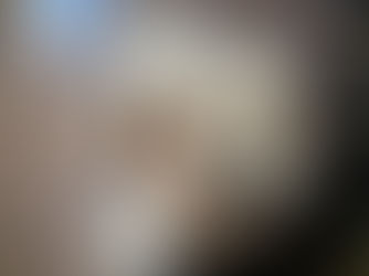 Bonjour Oli et Lola! Bichon Maltais X Yorkshire 4 mois (frère et soeur)