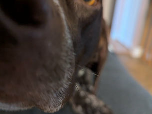 Qu'est-ce que je fais lorsque je ne suis pas avec vous en entrainement ?