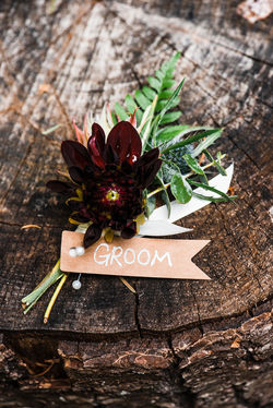 Tiffany_Kyle_Mount_Rainier_Elopement_The