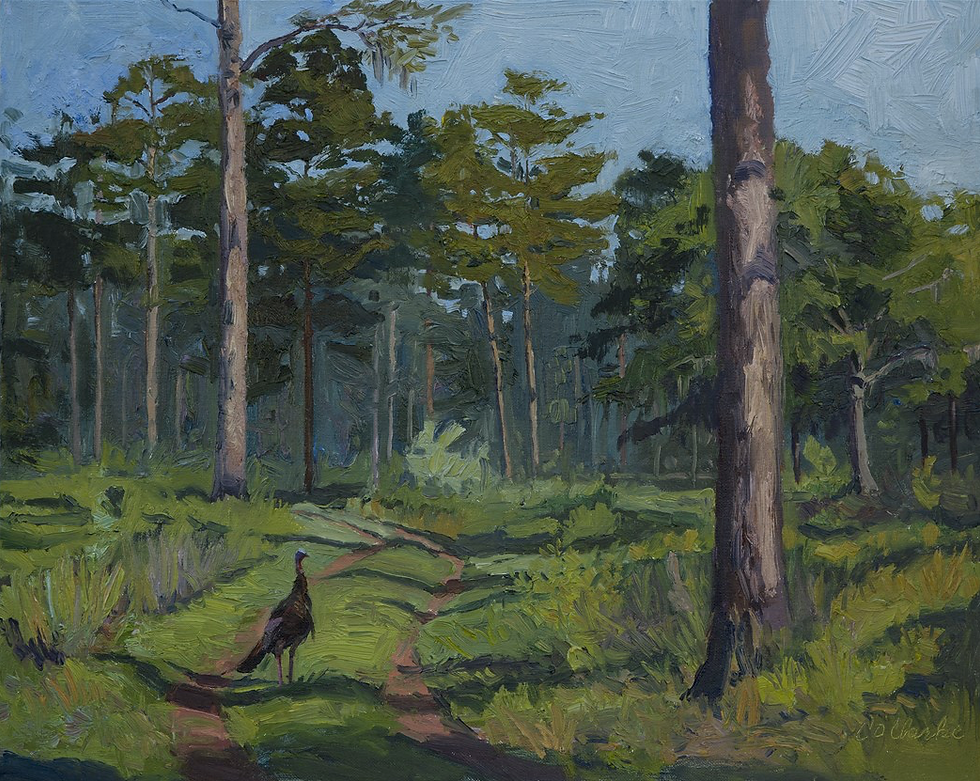 Headed for the Roost