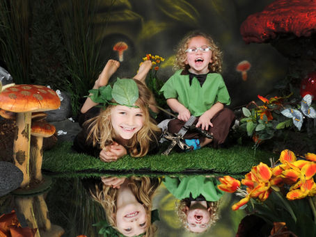 November Fairies