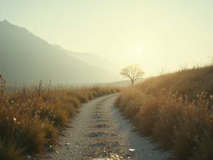 Streamline Operations to Focus on Long-Range Goals
