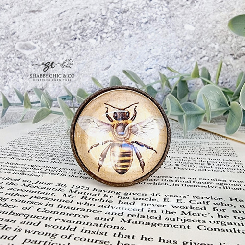 Metal Door Knob with Glass Inset - Bee | Brisbane | Australia | Shabby ...