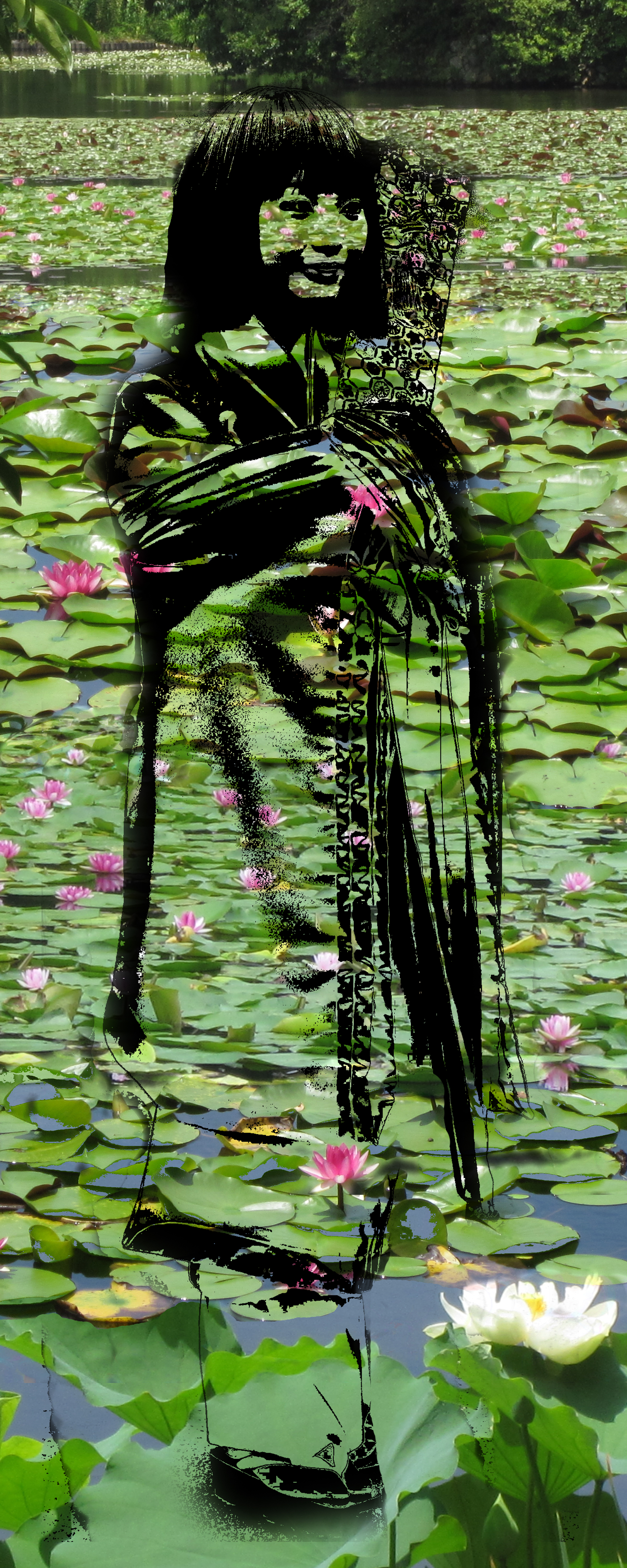 Summer Lilies
