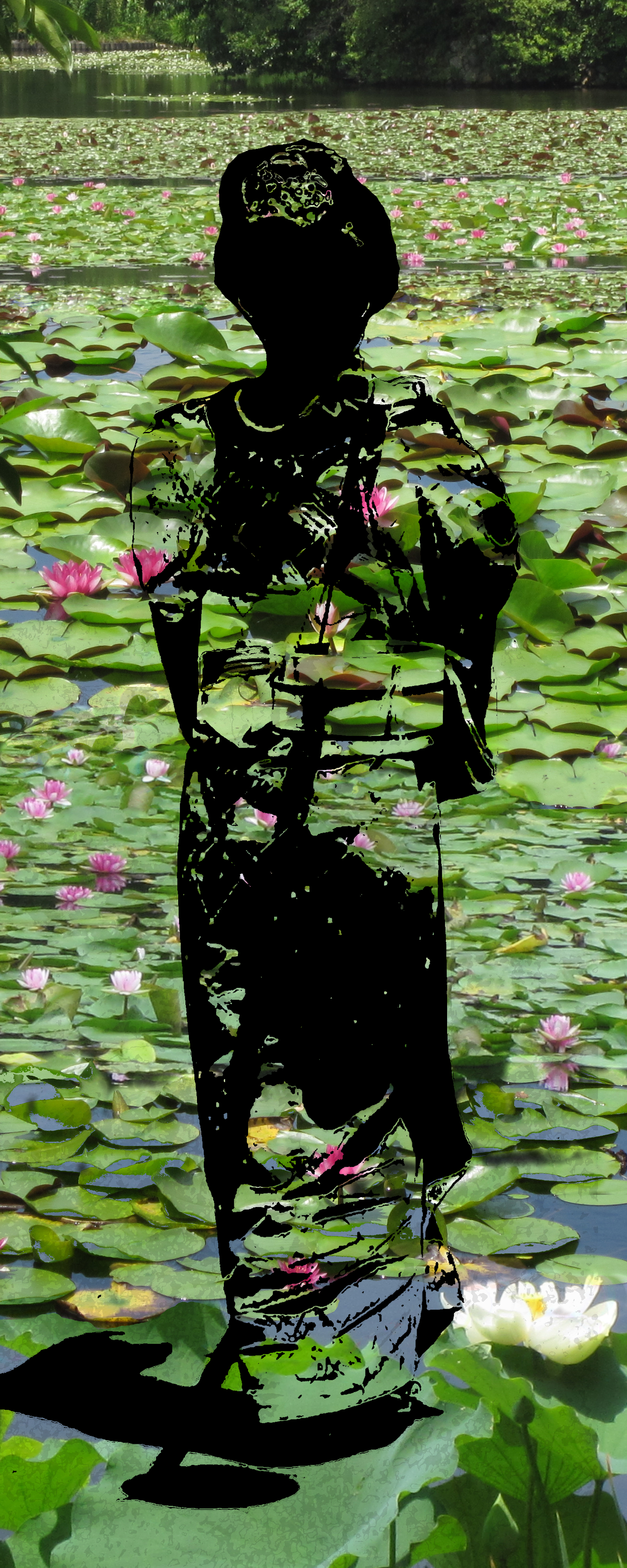 Summer Lilies i