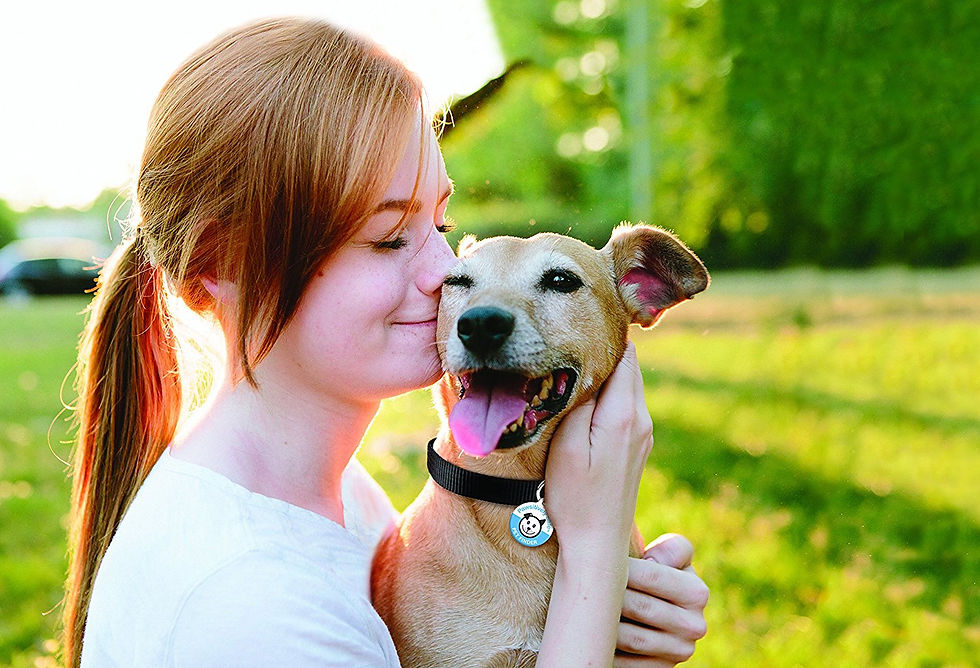 Pawsitively safe pet finder tag