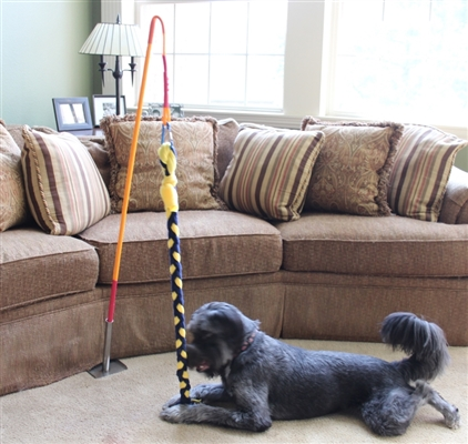 Thumbnail: The INDOOR Tether Tug Dog Toy