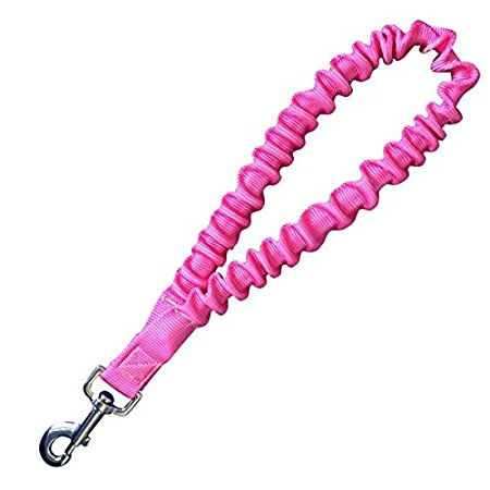 Thumbnail: Only Leash