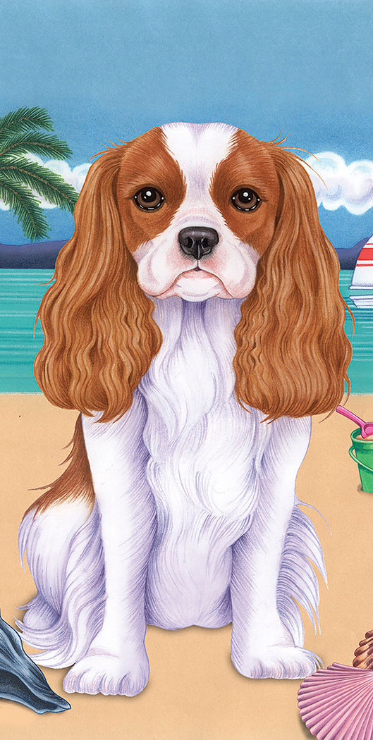 Cavalier King Charles -Terry Velour Microfiber Beach Towel