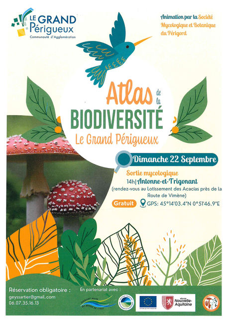 Sortie mycologique à Antonne-et-Trigonant