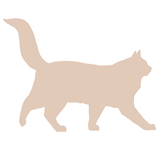 Ragdoll cat 1.png