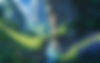 background.jpg