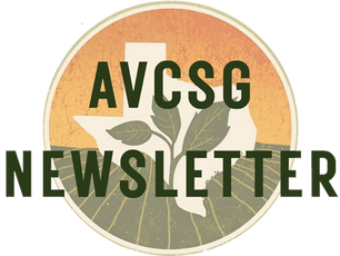 AVCSG - Newsletter #14