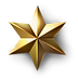 5 Star Google Review