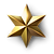 Gold Geometric Star