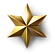 Golden Star for Google reviews