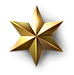 5 Star Google Review