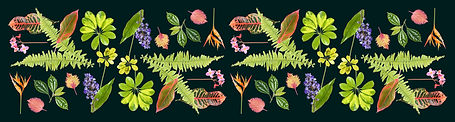 botanical_introstrip.jpg