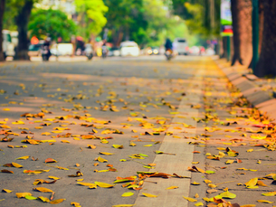 Best Time to Visit Hanoi: Weather & Festivals | Hanoi City Map