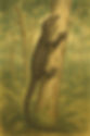 Lizard with spotted pattern climbs a tree in a dense forest. The background features green foliage and tall trees, creating a natural setting.