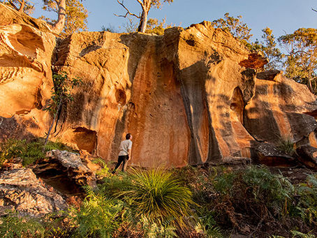 Person in white shirt explores the carved patterns of a sunlit, orange rock formation in a natural setting with sparse vegetation.
