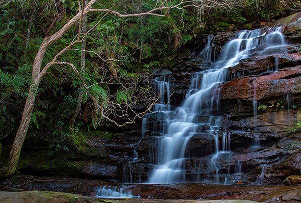 Cascading waterfall over rocks surrounded by lush greenery and a twisted tree branch. The scene conveys a peaceful, natural ambiance.