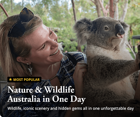 Woman with koala, Nature & Wildlife Australia in One Day