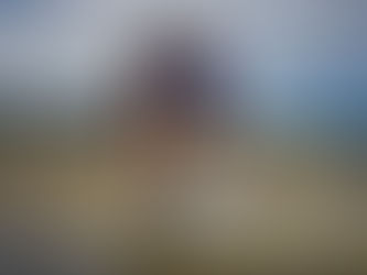 Three smiling people pose on a rocky shore with a pelican in the foreground. The ocean and distant hills are in the background.