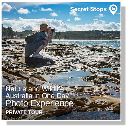 Photography Tour.jpg