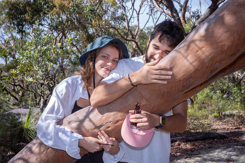 Two people hug a tree joyfully in a forest. One wears a blue hat; the other holds sunglasses and a pink cap. Sunlit foliage in the background.