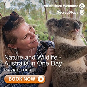 Join our Nature & Wildlife Tour