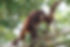 DSC05766.JPG
