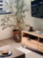 Nowoczesne wnętrza z drewnianą szafką RTV i rośliną
