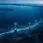 India Is Wiring the Ocean Floor: Inside the New Seabed Surveillance Cable Network
