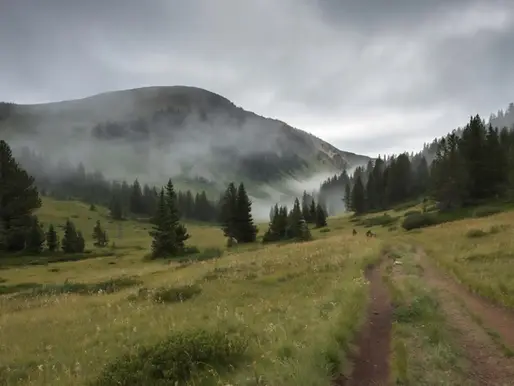 An empty mountain meadow trail in Kashmir's high-altitude landscape, symbolising the Baisaran Valley where the April 2025 Pahalgam attack took place
