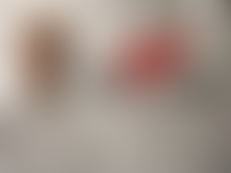 Explora y Viaja by Fraveo estuvo presente en el Hotel Galería Plaza Reforma