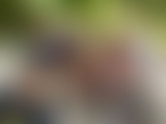 Fam trip Hotel Grand Matlali en Punta Mita