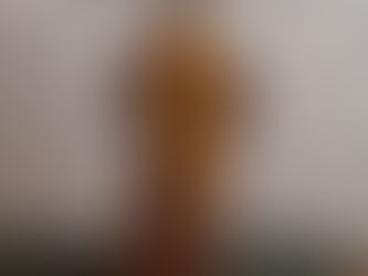 CAPACITACIONES INTERNACIONALES