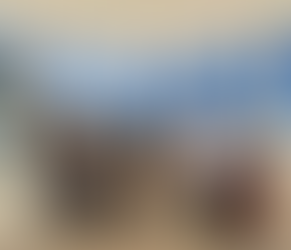 Brio Viajero & Travel By Fraveo participó en el Famtrip organizado por The Palace Company, el cual se llevó a cabo en Cancún.