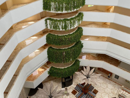 #Iberostar & #FraVEO