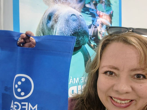 La agencia de viajes Landa Travels by FraVEO participó en una capacitación del operador Mega Travel.